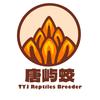 唐屿蛟—Jack Yang