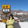 西藏导游圈圈🫧
