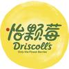 Driscoll's怡颗莓官方旗舰店