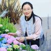 陌上竹小院日记