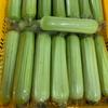 长沙海吉星蔬菜批发（花）