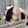 健康快乐呀