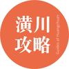 潢川攻略