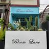 Bloom Lane 绽放巷鲜花店