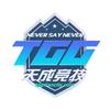天成竞技