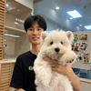 Tom西高地&长毛腊肠狗
