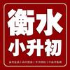 衡水泽衡教育-翟老师