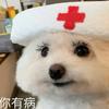 改天教教我