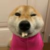 范头铁