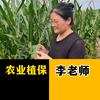 农业植保李老师（农资工厂技术员）
