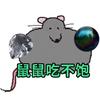 鼠鼠吃不饱