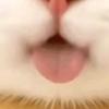 游戏小八（备战无限大）