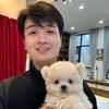小康家韩系比熊
