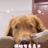 家有二豆
