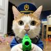 爱吸猫爱吸魚的徐女士ˇ℡♪