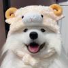 是芝士