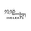1316精选藏歌文化