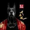 公狗剧场《叹春风》