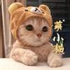 🐱萌小猫🎤¹⁰²⁴