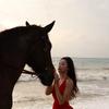 三亚seahorse马场小秘