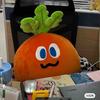 憨萝卜头🥕