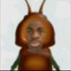 方艾