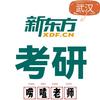 武汉新东方考研咨询（唠嗑版）