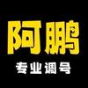 大话2阿鹏【专业调号】