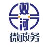 双河微政务