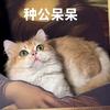 喜猫屋