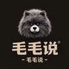 毛毛说