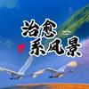 手机里的世界