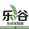 乐谷试验田（丽丽）