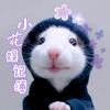 小花娱记簿