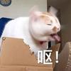 德古