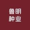 鲁明种业