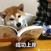 土豆学长cllx