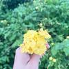 吃喝玩乐大本营