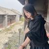考拉先生