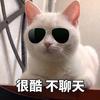 喵喵出海