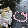 芋圆妹妹