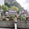 小骆同学
