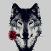 Northwest Wolf