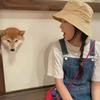 油炸野萝莉