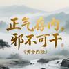 倪师说养生