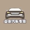 业余汽车专家