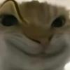 豪烦啊