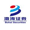 渤海证券股份有限公司