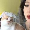 一条面子
