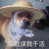佛山小王（专注收银